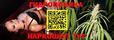 крисы Ставрополь