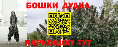 крисы Ставрополь