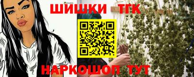 крисы Ставрополь